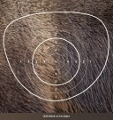 Skifteblink m/lim til 