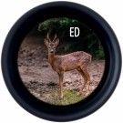 Minox X-Tour 10x34 Håndkikkert thumbnail