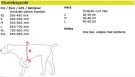 Dogtech Pro hundevest thumbnail