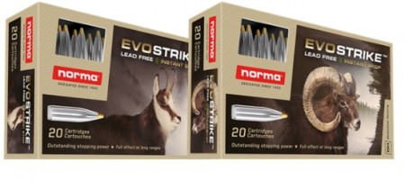 Norma EvoStrike™ 308 Win 9,0 g / 139 gr - 20stk