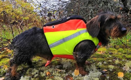 Kardog Tracker vest for små hunder med flyteelement