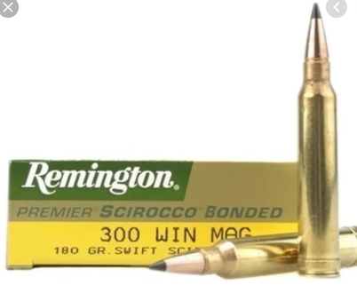 Remington 300WM Swift 180grs A-Frame - 20 stk