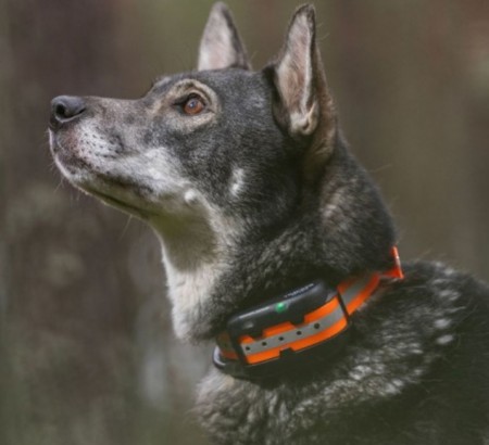 Tracker Artemis
